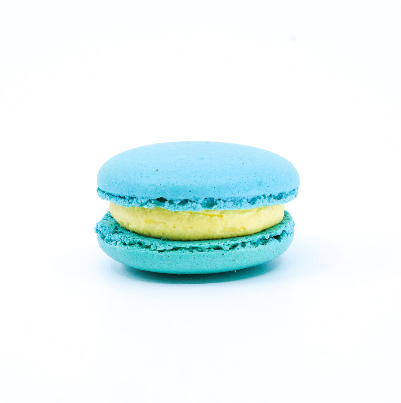 baby blue round macaron. Milk flavoured macaron